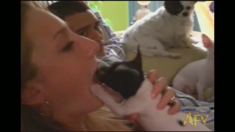 Puppy Shoves Head Into Woman's Mouth To Stop Her Weird Noises