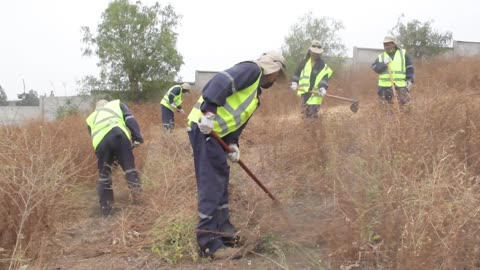 Construyen cortafuegos para proteger a mil viviendas ante incendios forestales en Villa Alemana