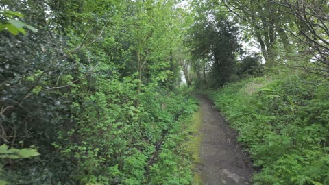 Serene Grey Morning: Exploring Harry Potter Location in Lacock Silent Walk | Relaxing Cotswold Walk