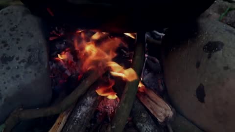 cooking with Mixed fresh vegetables for Eating delicious