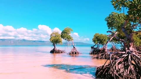 TOP 10 MOST BEAUTIFUL SANDBARS IN THE PHILIPPINES