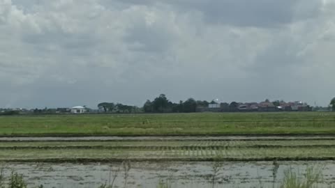 SAWAH, VILLAGE @INDONESIA