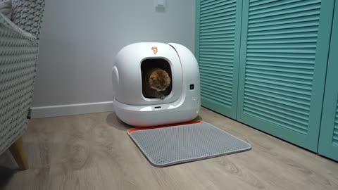 New Self-Cleaning Cat Litter Box for Hosico