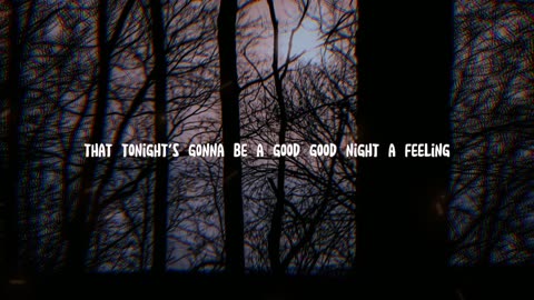 The Black Eyed Peas - I Gotta Feeling (Lyrics)