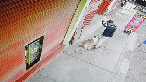 Man Best Friends With Neighbor Dog