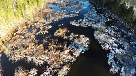 Lake_Aerial_View-Multicut