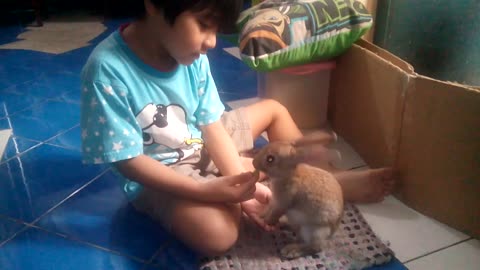 Shaking Hands With Rabbit