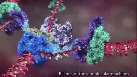 Visualization of Ai editing human DNA using the gene editor OPENCRISPR-1.