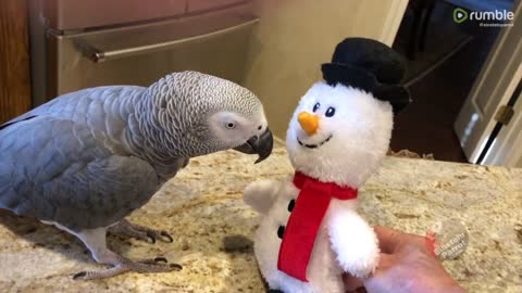 LATEST video of a Dancing Parrot and Snowman