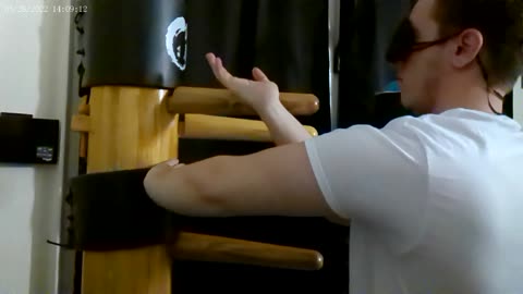 blindfolded freestyle wing chun practice