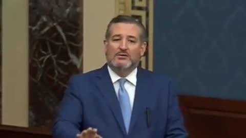 Ted Cruz addressed border crisis and Biden cages Nov 2021