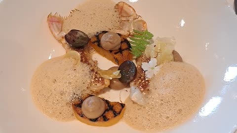 Sneak Preview Nr.2 of 1* MICHELIN L'Oiseau Bleu Restaurant in Bordeaux (France).