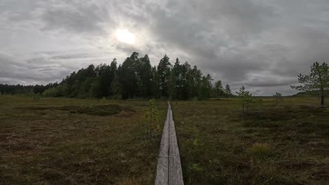 exploring a bog zone