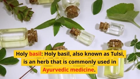 Holy Basil