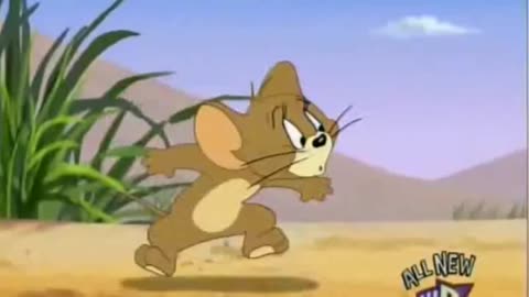 Jungle Tom | Funny Cartoon Videos | Tom and Jerry