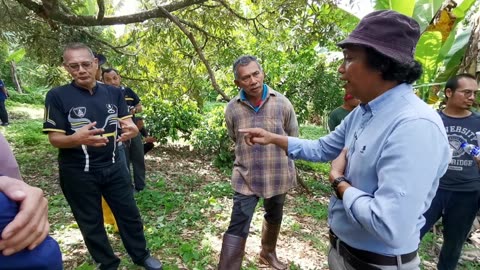 P05 Visit Durian Farm (Lawat Kebun Durian), Sg Ruan, Raub, 5 Jun 2024