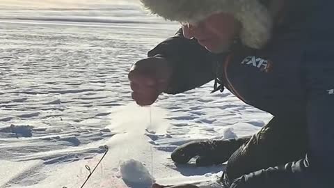 A Big Fish is Pulled from the Ice