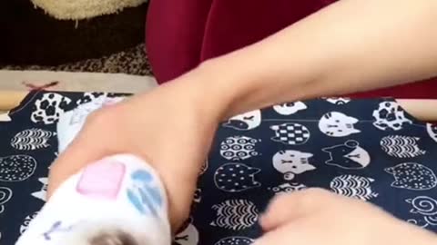 The_Cutest_Baby_Cats_Compilation