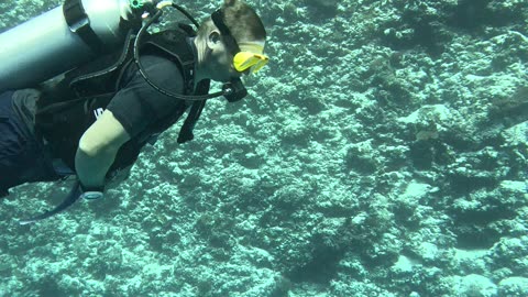 Underwater scooter dive - Maldives