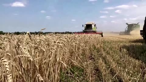 Ukraine to seek grain export deal extension