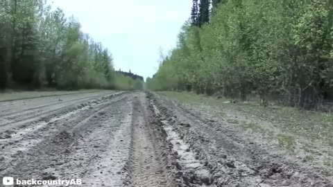 Men Try to Fight Away Polar Bear, But Instantly Regret it!!