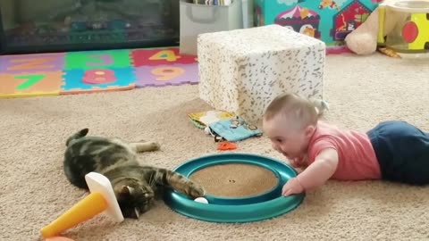 Funny Cat and baby video