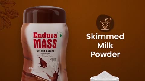 Chocolate Weight Gainer Expert | Endura Mass