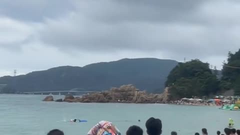 Two men injured after being bitten by dolphin in Fukui Prefecture in Japan,