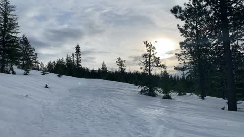 Bright White Snow – Central Oregon – Potato Hill Sno-Park