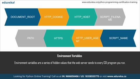 Python CGI Programing Tutorial How To Run CGI In Python