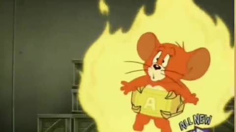 Tom and Jerry Lovers | Funny Cartoon Videos