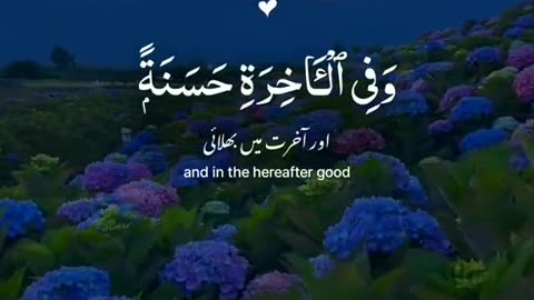 AL Quran❣️