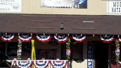 Trump Store in Tombstone Arizona, a great variety of Trump stuff. 3/4/23