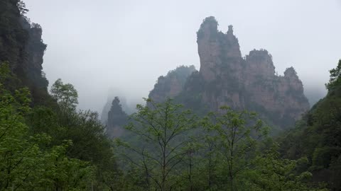 "Avatar" Mountain & Wulingyuan Scenic Area