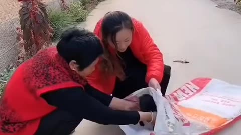 Best Funny Videos 2022, Chinese Funny clips