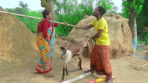 Shaktiman and monkey trending funny Comedy video 2024 video Amazing funny videos 2024 episode 272