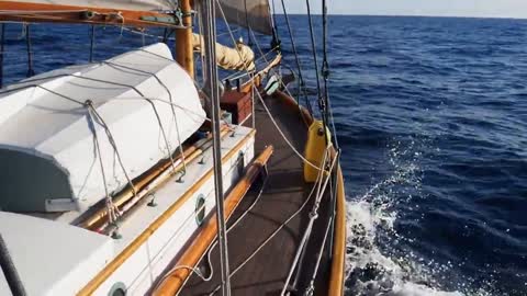 Two men crossed the Pacific Ocean in a wooden boat(1)