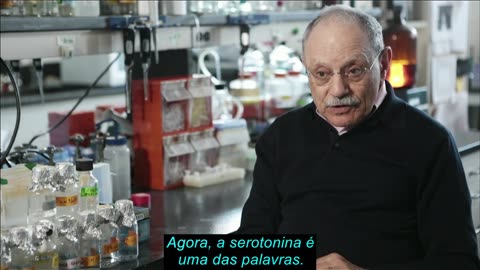 Os cientistas sabem da existência de outro cérebro dentro do corpo humano há muitos anos