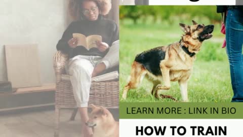 How to train your Dog to Greet Visitors?