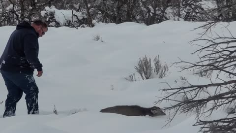 Uncle Travis rescues a stuck deer