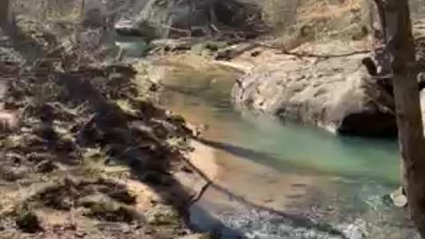 Rolling Stream