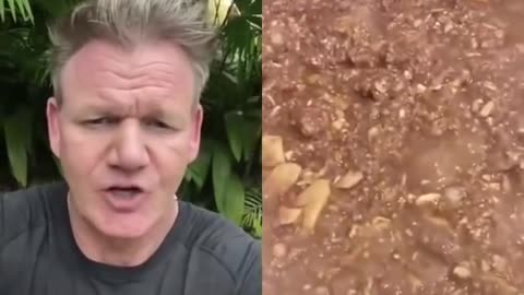 Gordon Ramsay likes the food