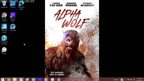 Alpha Wolf Review