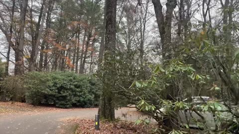 Campground Tour on the Lake at Julian Price on The Blue Ridge Parkway NC