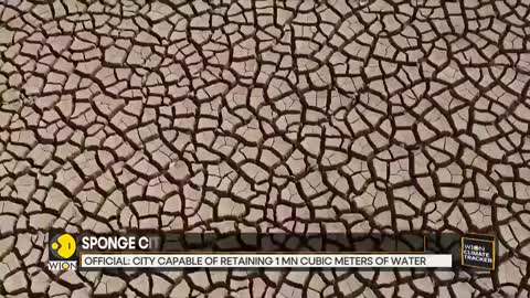 WION Climate Tracker China's water absorbing 'sponge city' Latest English News World News