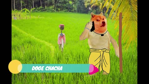 CHACHA HAM KHOO GYE HAI #DOGE #CHEEMS