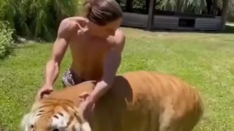 fun with tiger