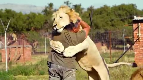 🐾 Emotional Animal Reunions That’ll Melt Your Heart ❤️ | Years Apart, Best Friends Reunited!