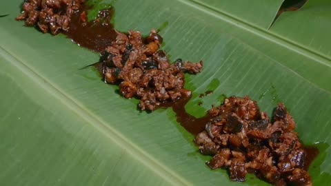 Discovering Lizard Adobo: A Taste of Tradition