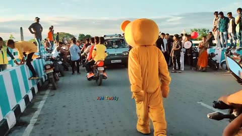 Teddy bear on road